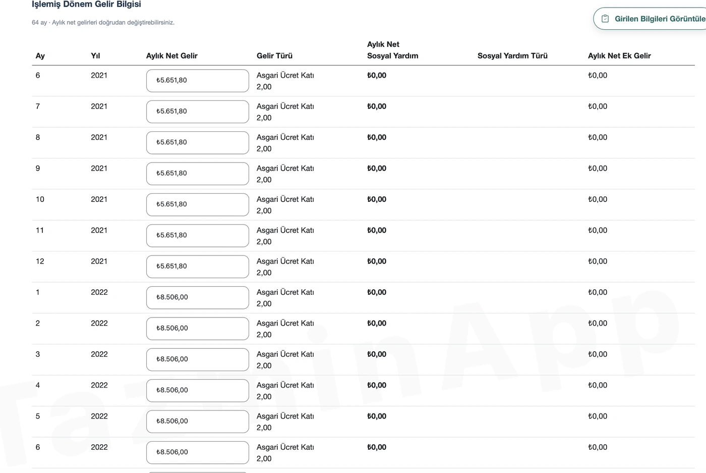 TazminApp destekten yoksun kalma hesabı: Aylık gelir tablosu